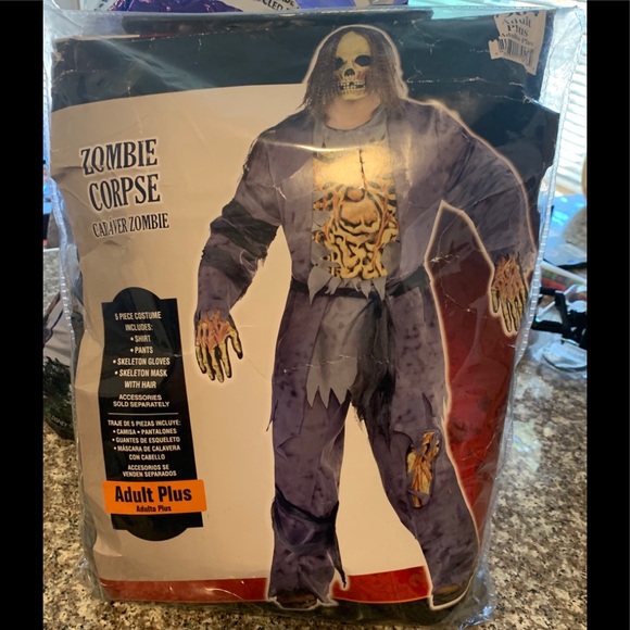 Other - Halloween costume Adult plus